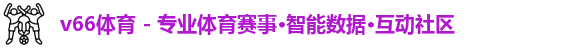 v66体育